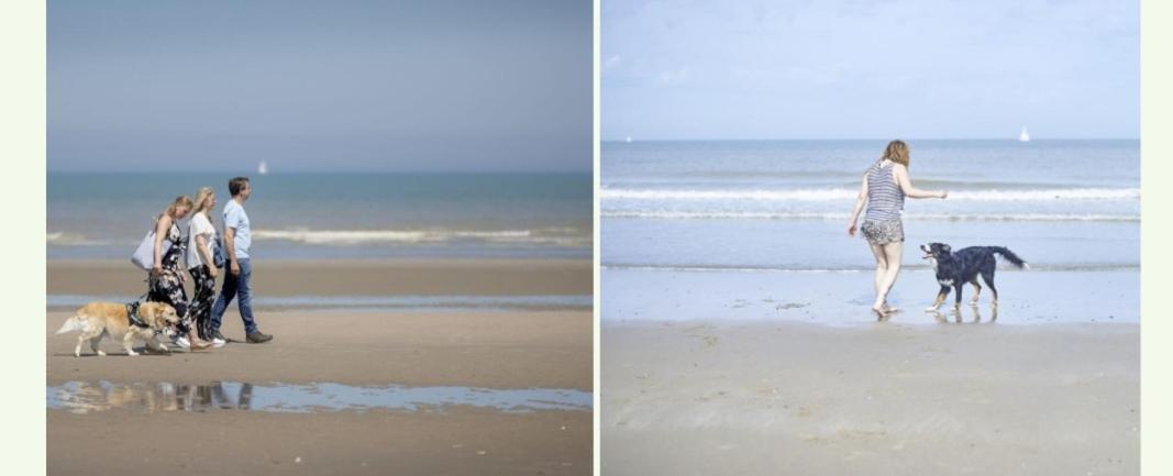Strandchalet Bredene Esterno foto