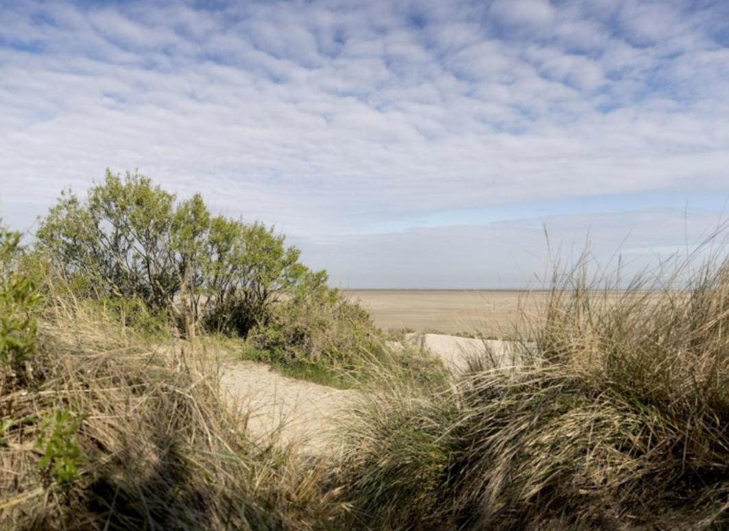 Strandchalet Bredene Esterno foto